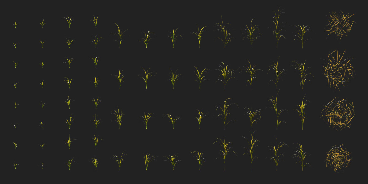 HyperGrass 3D grass variations